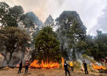 SSP Estatal coordina extinción de cuatro incendios en Tepatlaxco, Puebla y Tlachichuca