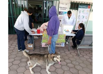 SESA e IMSS-Bienestar aplicarán más de 388 mil vacunas antirrábicas a perros y gatos