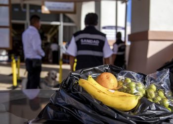Red de inspección de Senasica impide entrada de 743 productos portadores de plagas a México
