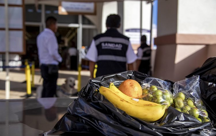 Red de inspección de Senasica impide entrada de 743 productos portadores de plagas a México