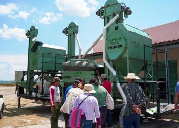 Inicia entrega de frijol negro para programas del Sistema Estatal DIF