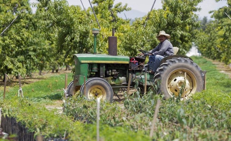 Se registra peor saldo comercial agroalimentario al primer bimestre en una década