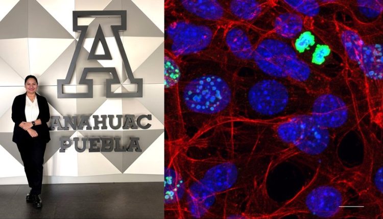 Investigadora de Anáhuac Puebla participa en certamen internacional de microscopía en España