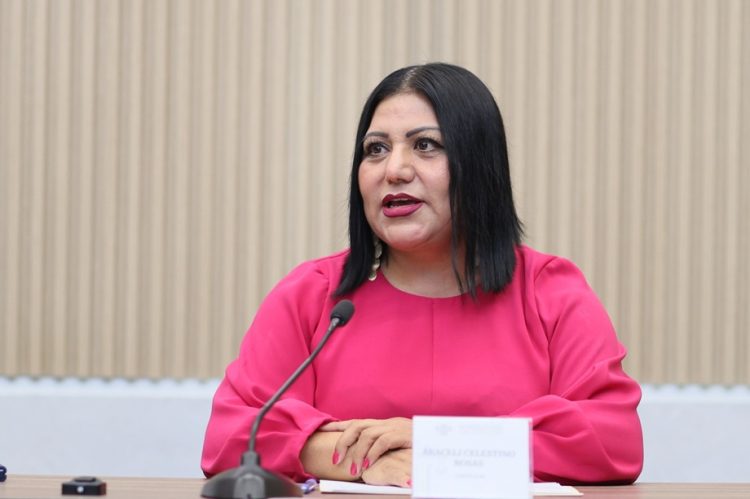Impulsa Araceli Celestino propuestas legislativas para proteger a personas migrantes y jóvenes
