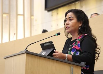 Plantea Celia Bonaga la creación de unidades especializadas en la atención de delitos cometidos contra menores