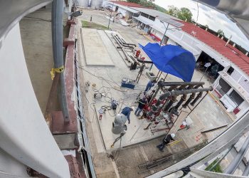 Planta que producirá moscas estériles para erradicar el gusano barrenador del ganado lleva 75% de avance