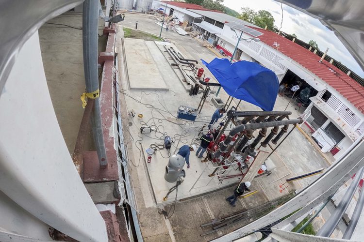 Planta que producirá moscas estériles para erradicar el gusano barrenador del ganado lleva 75% de avance