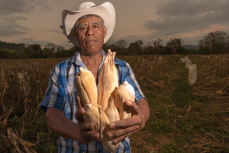Gobierno de México proyecta inversión histórica de 17 mil 266 mdp para el campo agrícola de Zacatecas