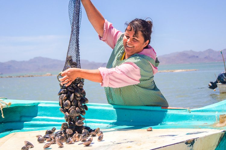 Se unen Conapesca y Alianza del Pacífico para impulsar a mujeres de la pesca y acuacultura artesanal