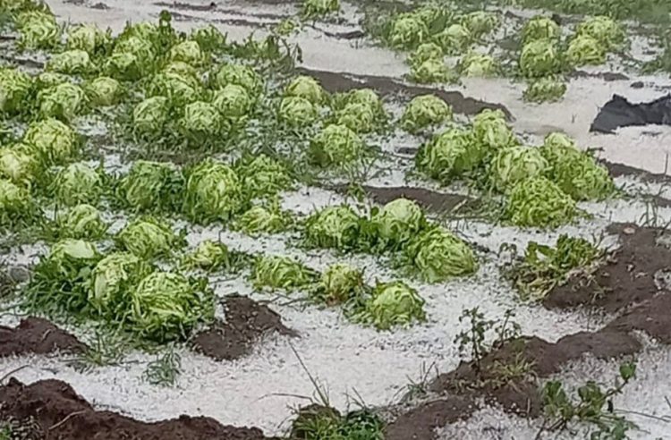 Gobierno del Estado supervisa afectaciones por granizada en municipios de Región Izta-Popo