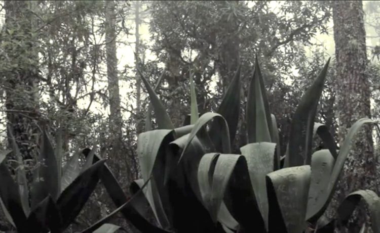 La Secretaría de Cultura del Gobierno de México presenta “Traspasar la línea”, muestra que explora el cine experimental mexicano
