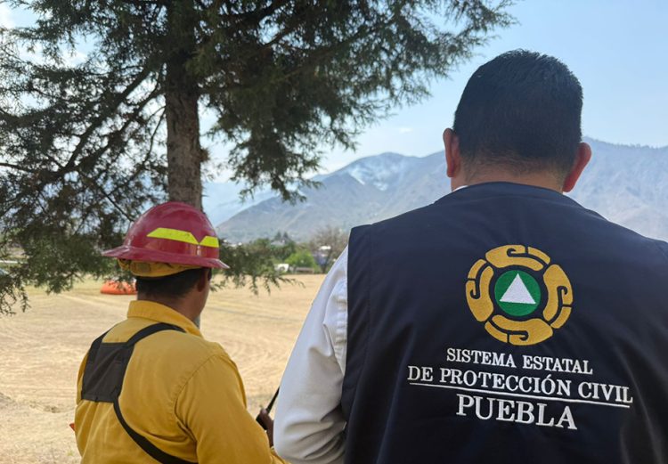 Por aire y por tierra órdenes de gobierno combaten incendio forestal en Zautla