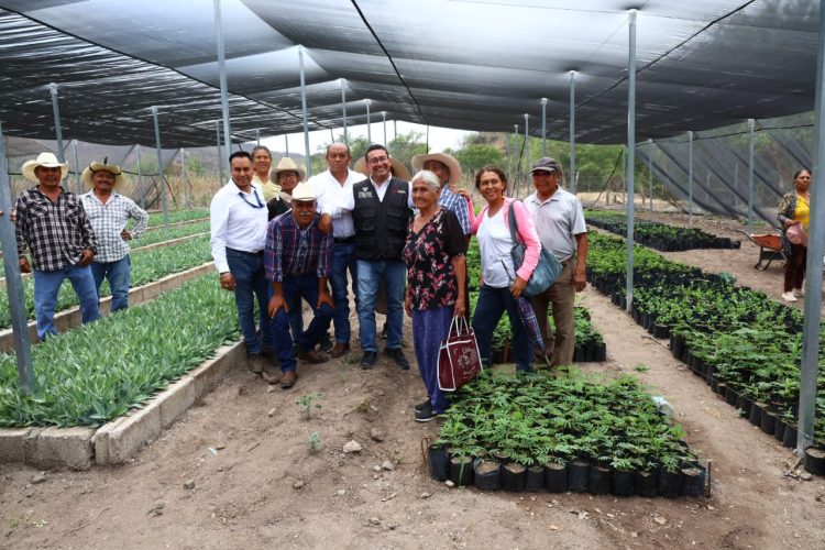 Pável Gaspar impulsa gestión de obras comunitarias para atender necesidades en la Mixteca poblana
