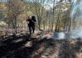 Fortalece Seguridad Pública protección y combate a delitos ambientales