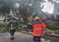 Gobierno de Pepe Chedraui atiende incidencias por lluvias y vientos