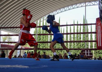 Gobierno de Pepe Chedraui desarrolla la sexta y séptima función del Torneo de Barrios de Box 2026