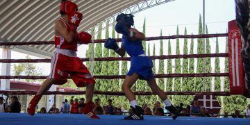 Gobierno de Pepe Chedraui desarrolla la sexta y séptima función del Torneo de Barrios de Box 2026