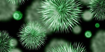 OMS alerta sanitaria por peligrosa cepa variante del ébola, van 80 muertes