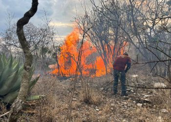 Gobierno del Estado continúa combate de incendio en la Mixteca