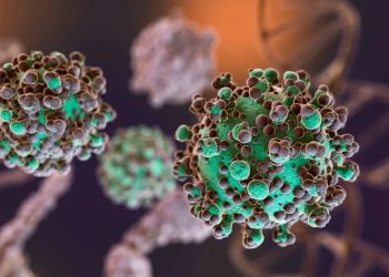 Sin riesgo alguno México emite alerta a médicos por Hantavirus