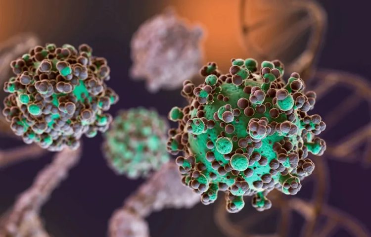 Sin riesgo alguno México emite alerta a médicos por Hantavirus