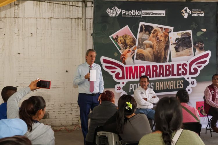 Pepe Chedraui acerca servicios gratuitos de bienestar animal a San Pablo Xochimehuacan