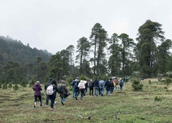 Del compromiso a la acción: Reforestamos México y PASE impulsan la restauración de bosques