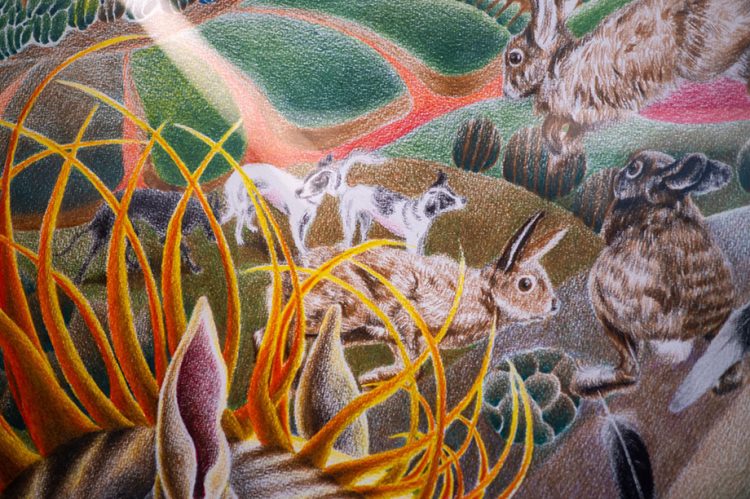Inauguran en la sala de Arte Público Siqueiros “Cuerpo climático”, nuevo ciclo curatorial y de investigación