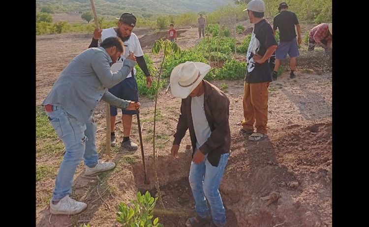Impulsa Antorcha jornada de forestación en Olomatlán