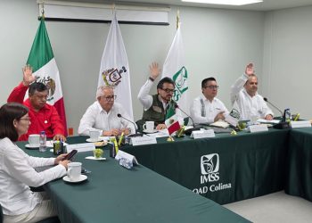 Aprueba Consejo Técnico del IMSS construcción de Hospital Oncológico Pediátrico de Ecatepec y General de Zona en Guaymas