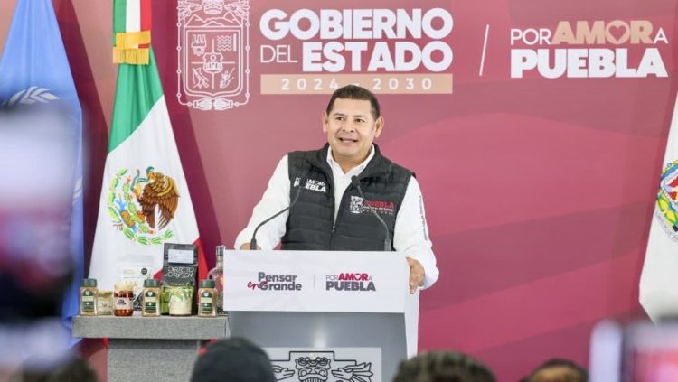 Liga Estatal de Beisbol abre vitrina a cazatalentos de Grandes Ligas