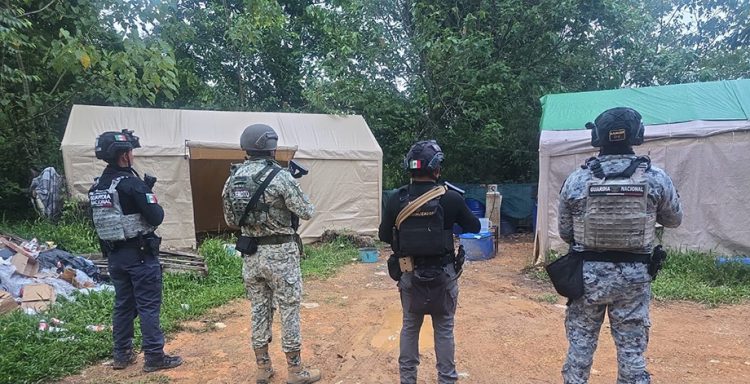 Desmantelan narcolaboratorio en la Sierra Norte