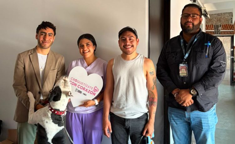 Dirección de Bienestar Animal logra regreso de ejemplar extraviado con su familia