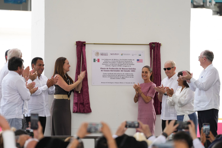En Chiapas, presidenta Sheinbaum inaugura Planta de Producción de Moscas Estériles de Gusano Barrenador