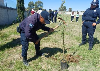 Siembran 600 árboles en escuelas de Ocoyucan