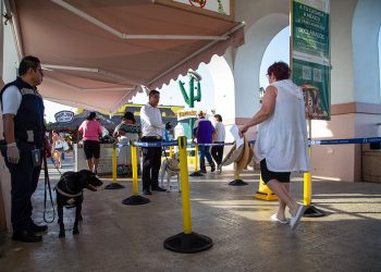 Senasica refuerza inspección a más de 5 millones de turistas que visitan México durante la Copa Mundial