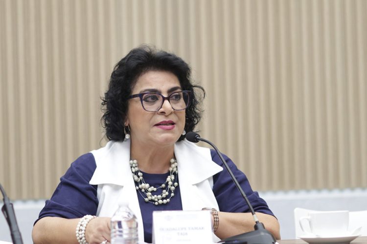 Impulsa diputada Guadalupe Yamak reformas en materia de protección civil en favor de las familias poblanas
