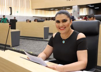 Propone Delfina Pozos acciones de accesibilidad administrativa para personas con discapacidad