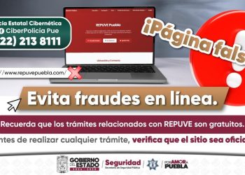 Seguridad Pública alerta sobre sitio web falso del REPUVE