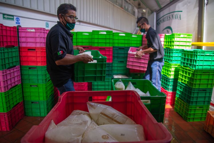 Leche para el Bienestar llega ya a 7.5 millones de beneficiarias y beneficiarios, con precio preferencial en la compra del lácteo