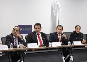 Impulsa Comisión de Desarrollo Económico acciones para mejorar atención de los servicios de la CFE