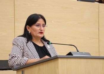 Propone Esther Martínez sancionar la negligencia extrema contra animales en Puebla