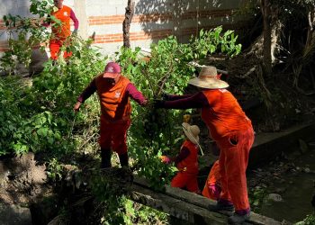 Refuerza Gobierno de Pepe Chedraui acciones preventivas ante la temporada de lluvias en Romero Vargas