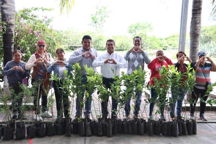 Diputado Pável Gaspar promueve jornadas de reforestación en San Juan Epatlán y Chiautla de Tapia
