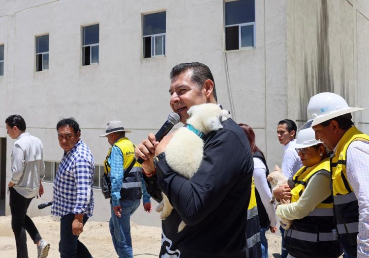 Consolida Gobierno del Estado centro pionero para protección de seres sintientes