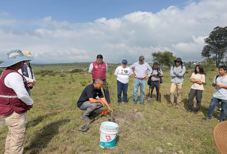 Avanza Gobierno de Pepe Chedraui en la reforestación con la plantación de más de 9 mil árboles