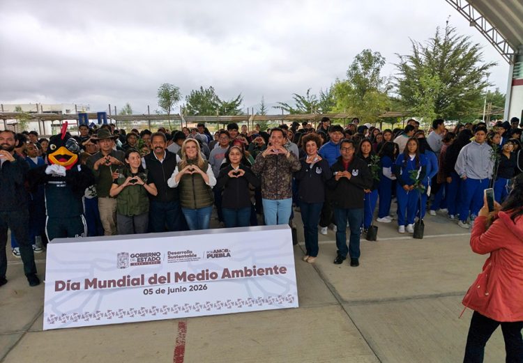 Asegura Gobierno del Estado reforestaciones con impacto duradero
