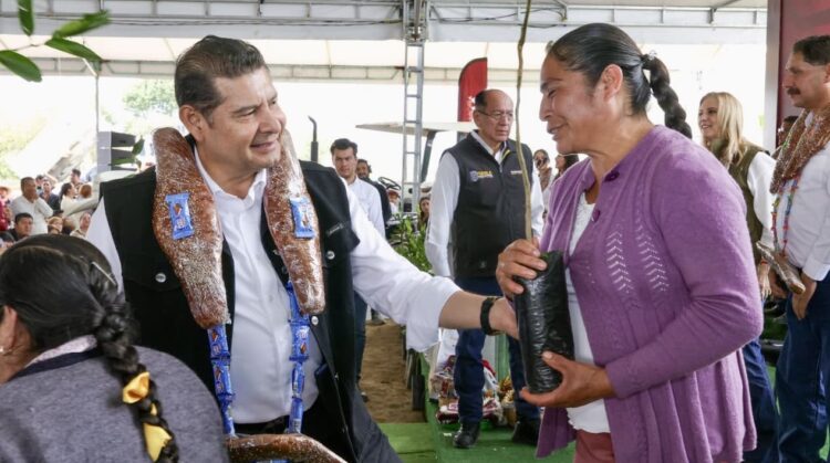 Gobierno Estatal acelera la revolución del campo con apoyos, maquinaria y Obra Comunitaria