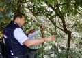 Con Obra Comunitaria y maquinaria, Gobierno Estatal interviene deslave en Parque Metropolitano