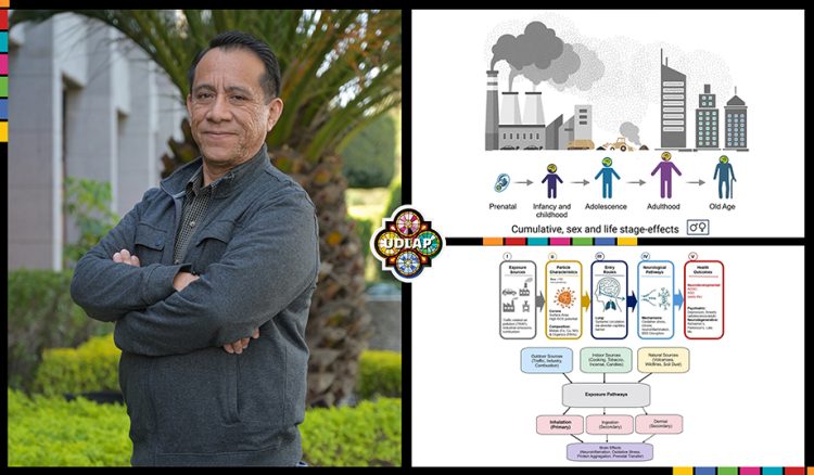 Académico UDLAP dirige estudio que revela cómo la contaminación viaja al cerebro y altera la salud